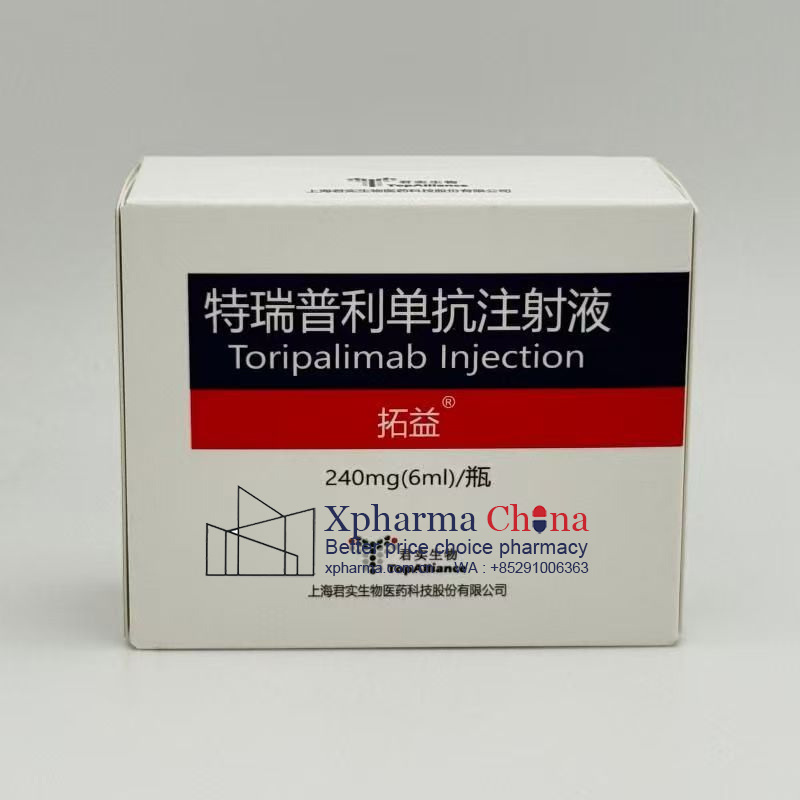 Tuoyi (Toripalimab Injection)