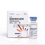 Tyvyt (Sintilimab Injection)