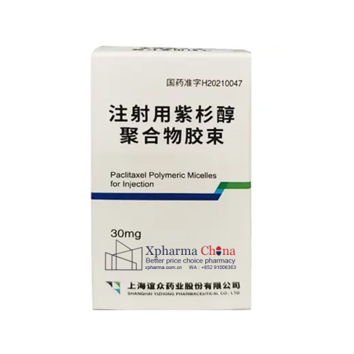 Paclitaxel Polymeric Micelles Paclitaxel Polymeric Micelles