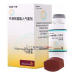 BREZTRI (Budesonide, Glycopyrronium Bromide and Formoterol Fumarate Inhalation Aerosol)